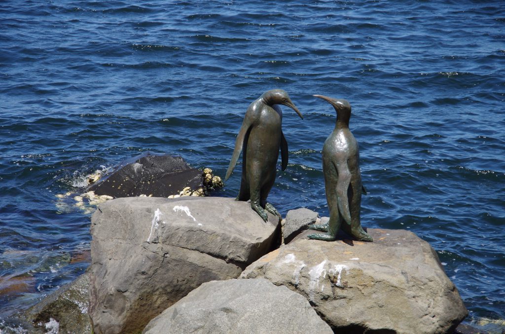 hobart_penguin_sculptures